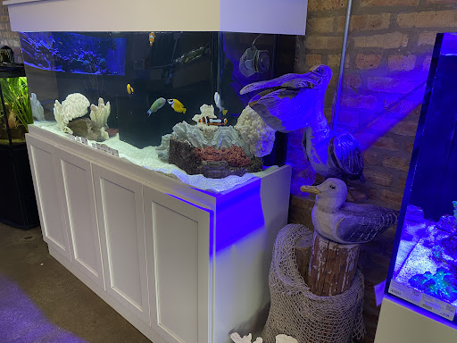 Tropical Fish Store «Old Town Aquarium», reviews and photos, 1538 N Wells St, Chicago, IL 60610, USA