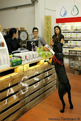 Petico Toeletta - Pet Shop