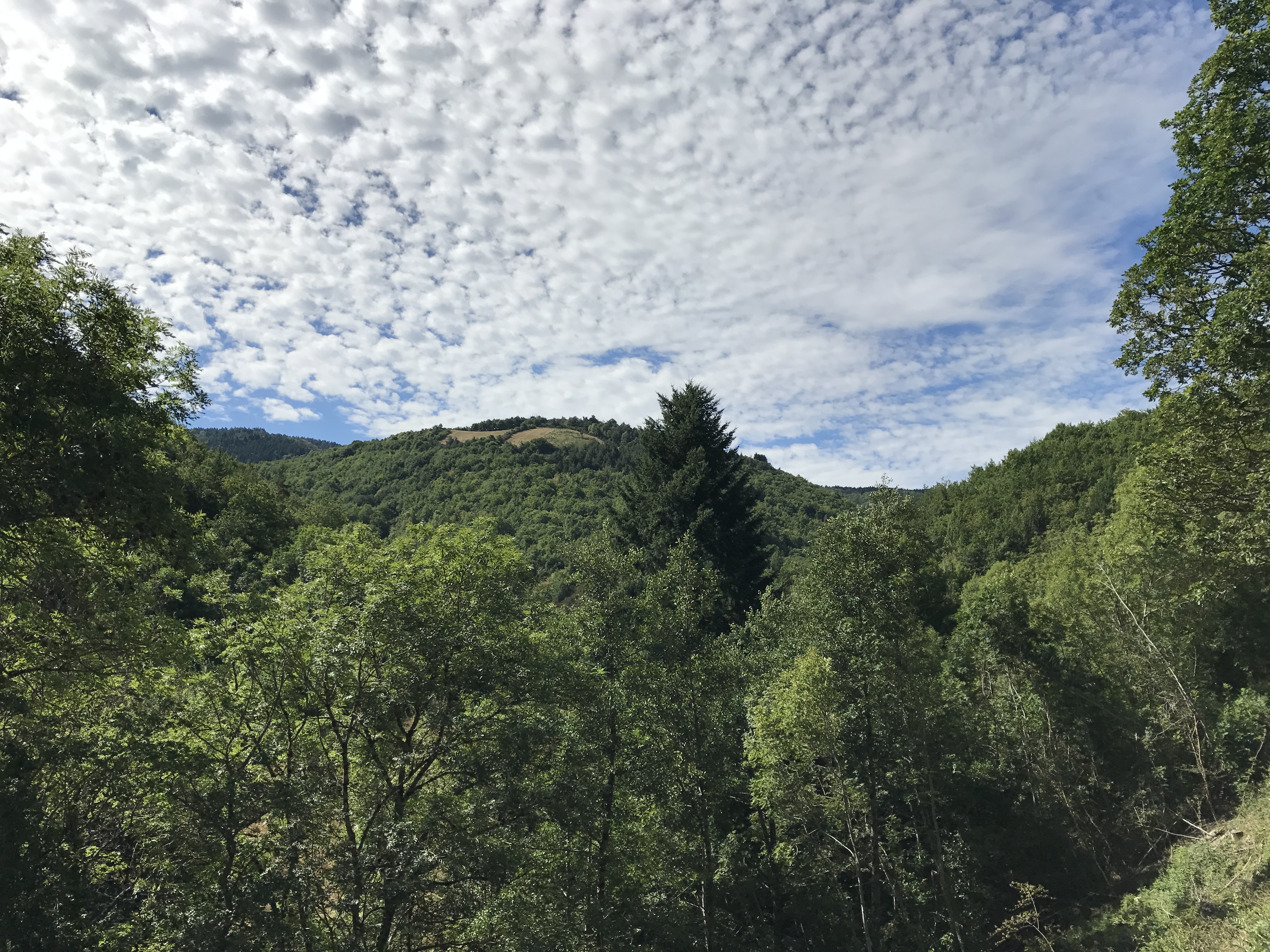 Photo n° 1 de l'avis de Pierre-Antoine.L fait le 15/08/2017 à 07:45