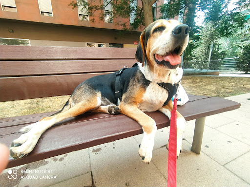 Centro Veterinario Porta en Barcelona