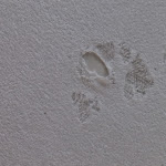 Photo n°1 de l'avis de Ina.r fait le 08/11/2018 à 20:55 sur le  Kurhotel Würdinger Hof à Bad Füssing