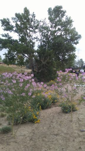 Park «Horseshoe Park», reviews and photos, 15151 E Alameda Pkwy, Aurora, CO 80012, USA
