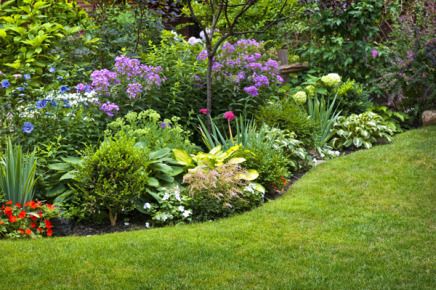 Colm Cronin Landscaping