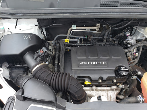 Coyote Detailing en Alice