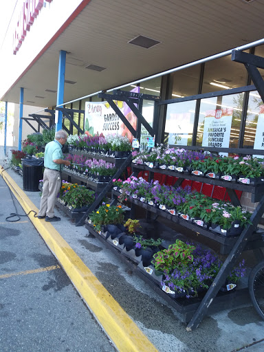 Discount Store «Ocean State Job Lot», reviews and photos, 545 Bridgeport Ave, Milford, CT 06460, USA