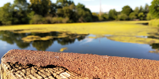 Park «Commonwealth Lake Park», reviews and photos, SW Butner Rd & SW Huntington Ave, Cedar Hills, OR 97225, USA