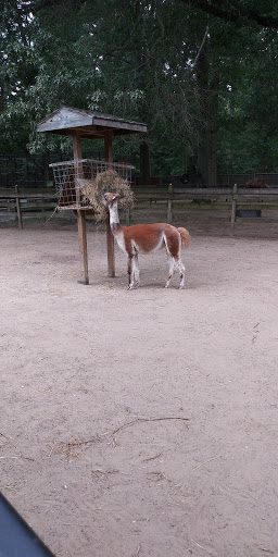 Zoo «Zoo in Forest Park and Education Center», reviews and photos, 293 Sumner Ave, Springfield, MA 01108, USA