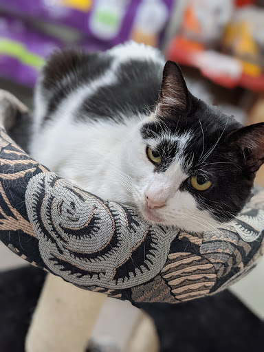 Pet Store «Hearty Pet Retail Store», reviews and photos, 19918 Jefferson Blvd, Hagerstown, MD 21740, USA