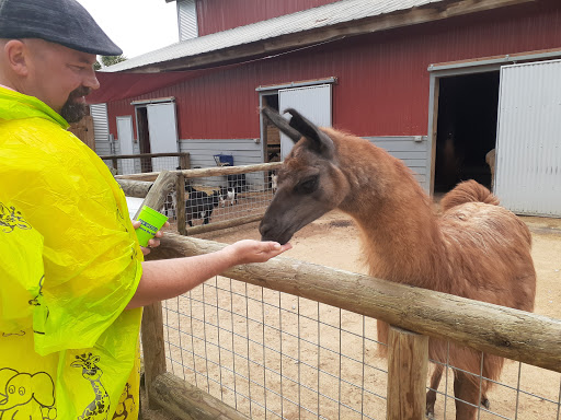 Zoo «ZooWorld Zoological and Botanical Conservatory», reviews and photos, 9008 Front Beach Rd, Panama City Beach, FL 32407, USA