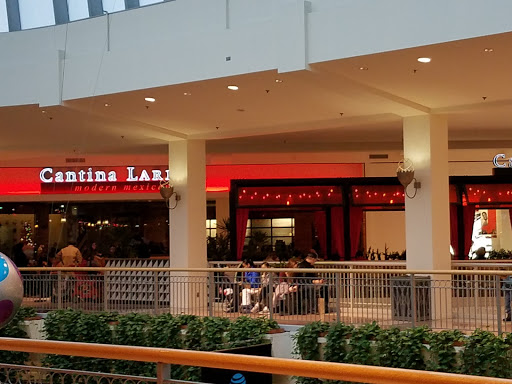 Shopping Mall «Mall of America», reviews and photos, 60 E Broadway, Bloomington, MN 55425, USA