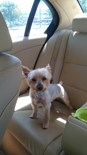 Pet Supply Store «Petco Animal Supplies», reviews and photos, 11976 Dublin Blvd, Dublin, CA 94568, USA