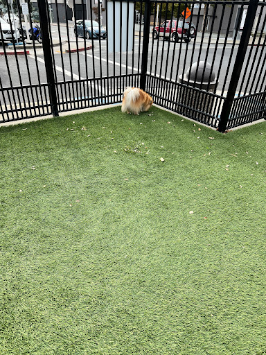 Pet Supply Store «Pet Food Express», reviews and photos, 3160 20th Ave, San Francisco, CA 94132, USA