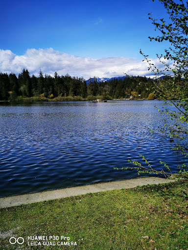 Lost Lagoon, Stanley Park, Lost Lagoon Path, Vancouver, BC