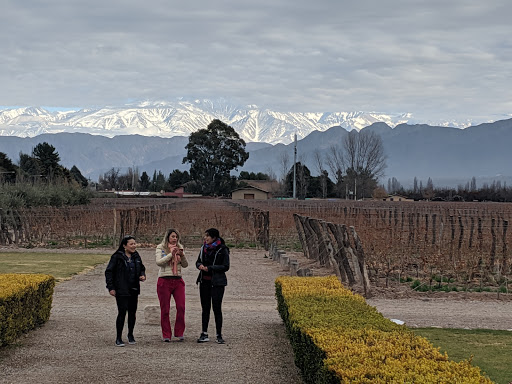 Mendoza Wine Experience