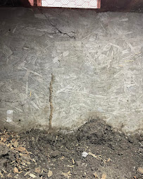 Horizon Termite Control Inc. - Photo 9 - Car repair in Menlo Park, CA, Hayward