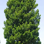 Photo n°2 de l'avis de Paola.o fait le 27/06/2022 à 12:56 sur le  Lieg Alm-Malga Costa (Riapriamo il 1.Giugno, wir öffnen wieder am 1.Juni) à Deutschnofen