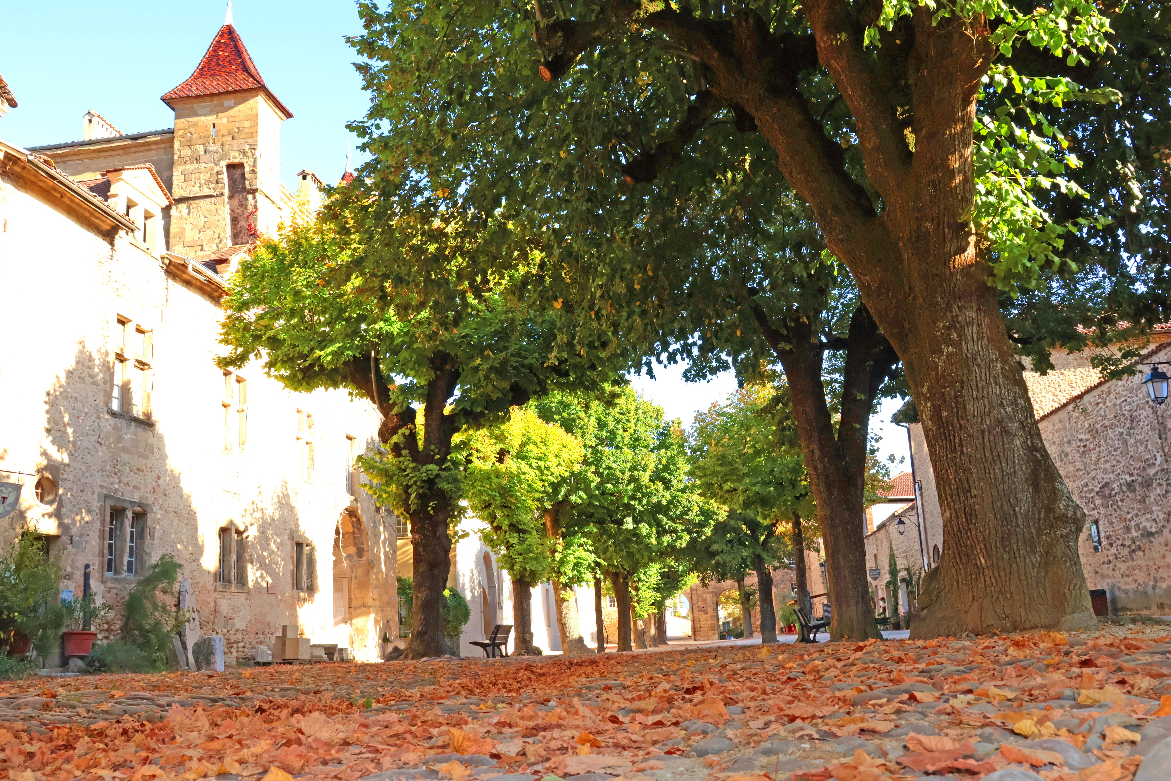 Photo n° 1 de l'avis de Gaetan.r fait le 16/10/2023 à 10:47