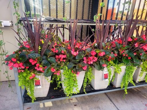 Department Store «Walmart Supercenter», reviews and photos, 8320 Lockwood Ridge Rd, Sarasota, FL 34243, USA