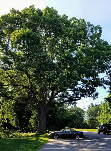 Golf Club «Louisquisset Golf Club», reviews and photos, 1 Overlook Pkwy, North Providence, RI 02904, USA