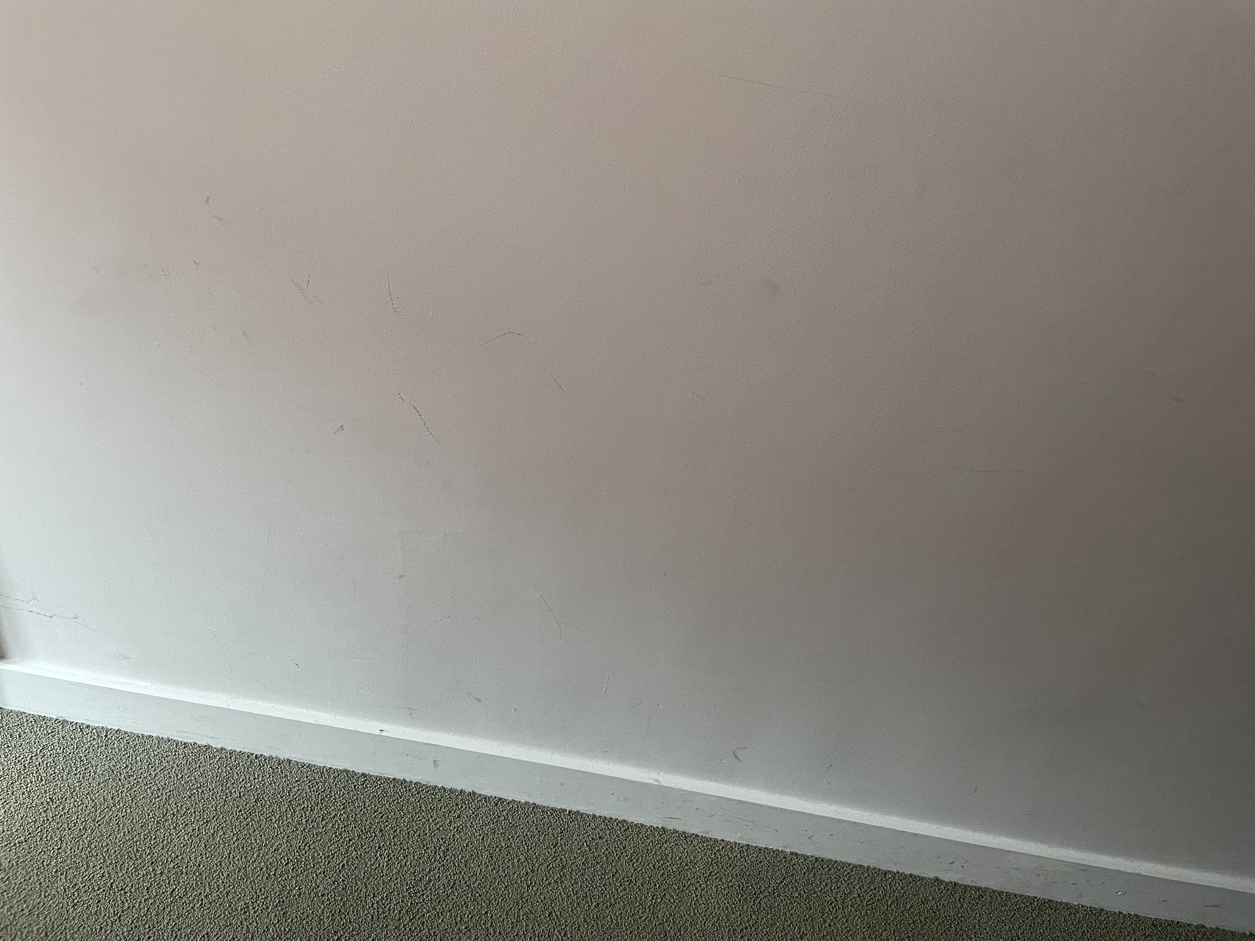 Photo n° 4 de l'avis de Younes. fait le 13/08/2021 à 13:19