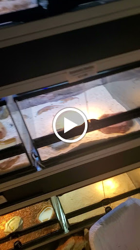 Tropical Fish Store «Animal House Pet Shop», reviews and photos, 358 Warner Milne Rd #110, Oregon City, OR 97045, USA