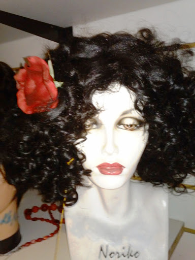 Gypsy Rosalie's Wigs and Vintage