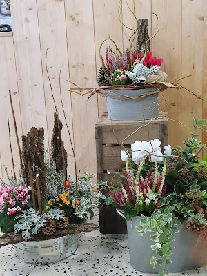 Le Bar à fleurs à Saint-Martin-en-Bresse