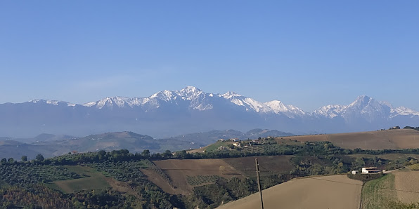 Azienda Agricola Vincenzo Corneli Zincani 64035 Castilenti TE