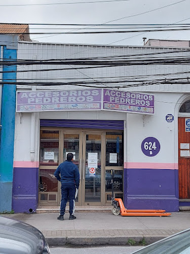 ACCESORIOS PEDREROS - Concepción