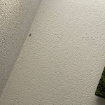 Photo n°1 de l'avis de C.r fait le 14/07/2022 à 19:05 sur le  Hotel Füssen à Füssen