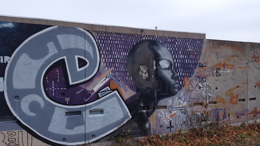 Nature Preserve «Troup Street Park», reviews and photos, 210-266 Troup St, Rochester, NY 14608, USA