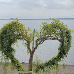 Photo n°2 de l'avis de Mauro.a fait le 20/04/2022 à 20:26 sur le  Trattoria del Moro à Bolsena