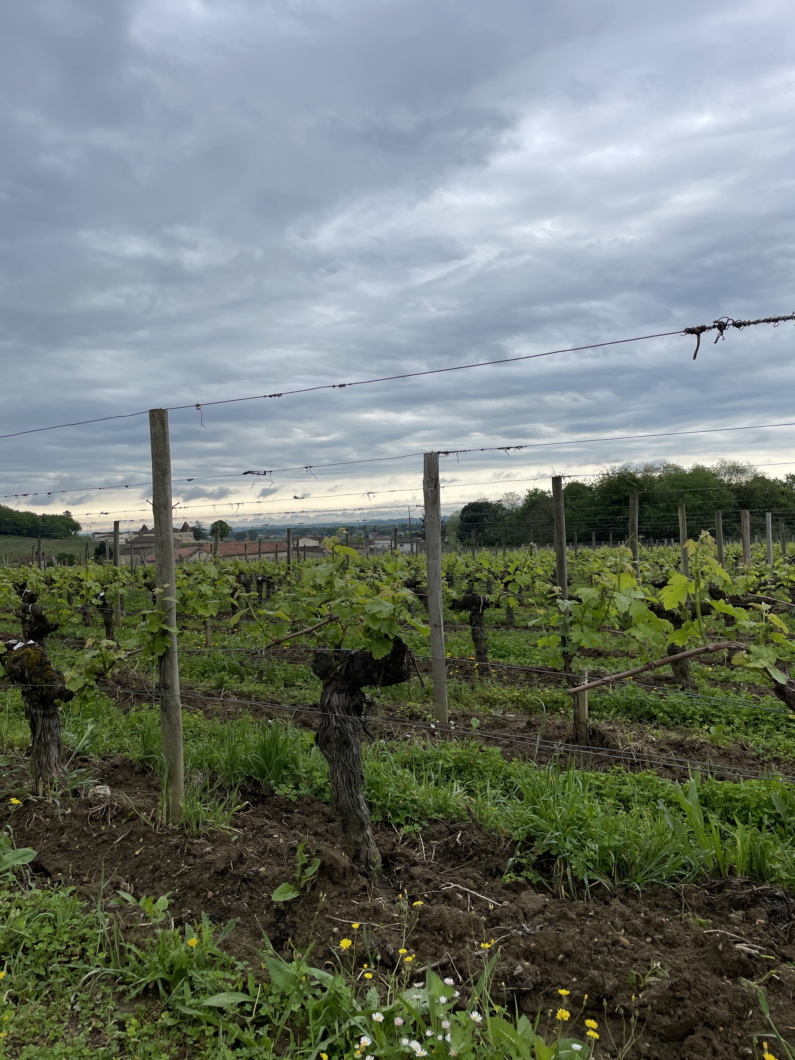 Photo n° 7 de l'avis de Euskadi64. fait le 16/05/2023 à 09:36