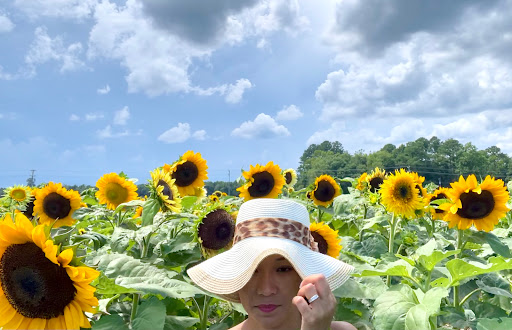 Fruit and Vegetable Store «Henley Farm», reviews and photos, 3513 Charity Neck Rd, Virginia Beach, VA 23456, USA