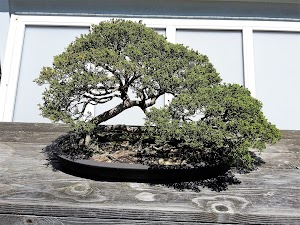 Phipps Conservatory and Botanical Gardens - photo 23
