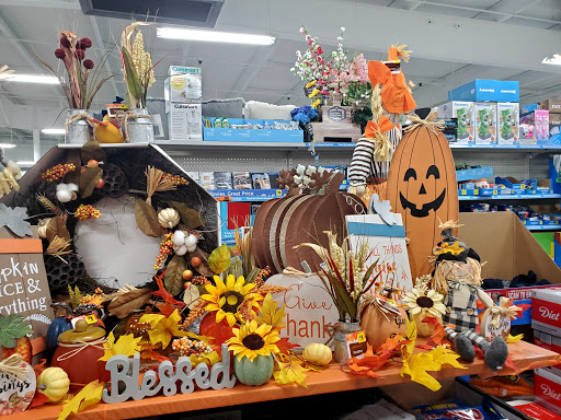 Discount Store «Dollar General», reviews and photos, 9814 NY-96, Trumansburg, NY 14886, USA