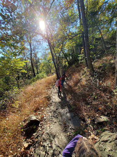 Park «Patapsco State Park», reviews and photos, 1101 Hilton Ave, Catonsville, MD 21228, USA