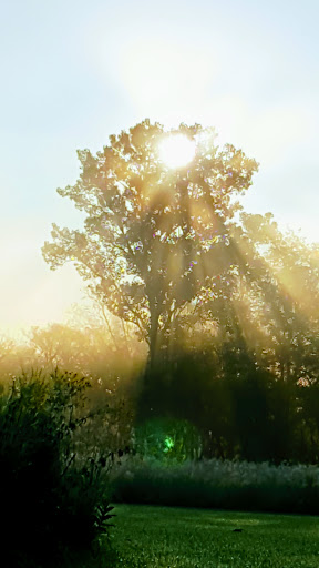 Nature Preserve «Hickory Creek Preserve», reviews and photos, Wolf Rd, Mokena, IL 60448, USA