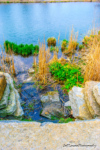 Nature Preserve «Bruce Vento Nature Sanctuary», reviews and photos, 4th St E, St Paul, MN 55106, USA