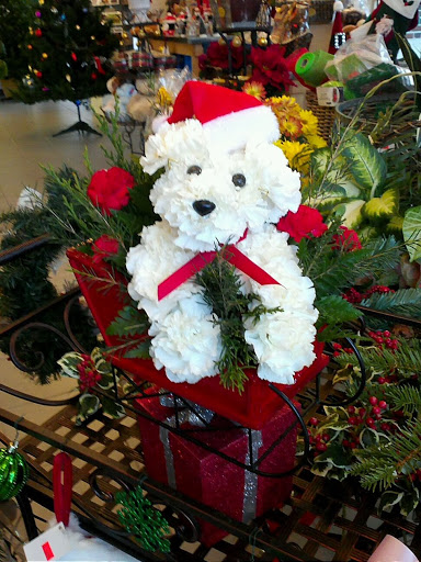 Florist «1-800Flowers/Colonial», reviews and photos, 1430 High St #1106, Williamsburg, VA 23185, USA