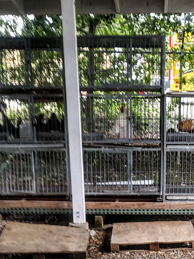 Pet Supply Store «Farmyard Feed», reviews and photos, 27705 Dutcher Creek Rd, Cloverdale, CA 95425, USA