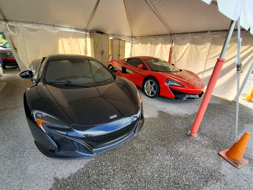 Car Repair and Maintenance «Dimmitt Automotive Group - Luxury & Exotic Pre-Owned Cars», reviews and photos, 3333 Gandy Blvd u, Pinellas Park, FL 33781, USA