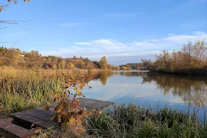 Chervona River image
