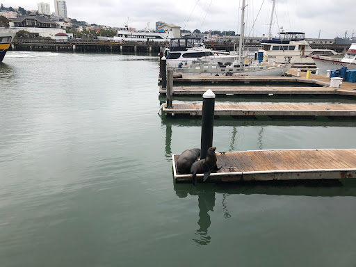 Cosmetics Store «Lush», reviews and photos, 3251 20th Ave, San Francisco, CA 94132, USA