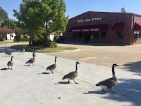 Stellar Auto Services LLC - Photo 3 - Car repair in Broken Arrow, OK, Broken Arrow