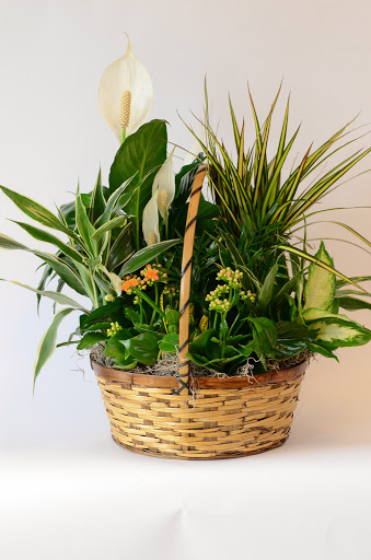 Florist «Emory Village Flowers & Gifts», reviews and photos, 3308 Laventure Dr, Atlanta, GA 30341, USA