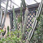 Photo n° 3 de l'avis de Emmanuelle.e fait le 26/07/2021 à 08:15 pour Jardin Botanique de Bayeux à Bayeux