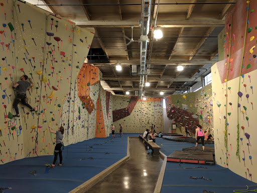 Rock Climbing Gym «Philadelphia Rock Gym - Wyncote», reviews and photos, 827 Glenside Ave #200, Wyncote, PA 19095, USA