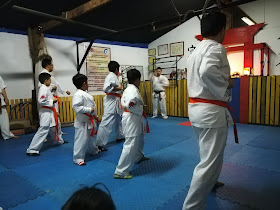 Academia de Karate Bushi Dojo Ichiro.