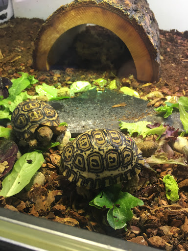 Pet Store «Pet Planet», reviews and photos, 11968 S Redwood Rd, Riverton, UT 84065, USA